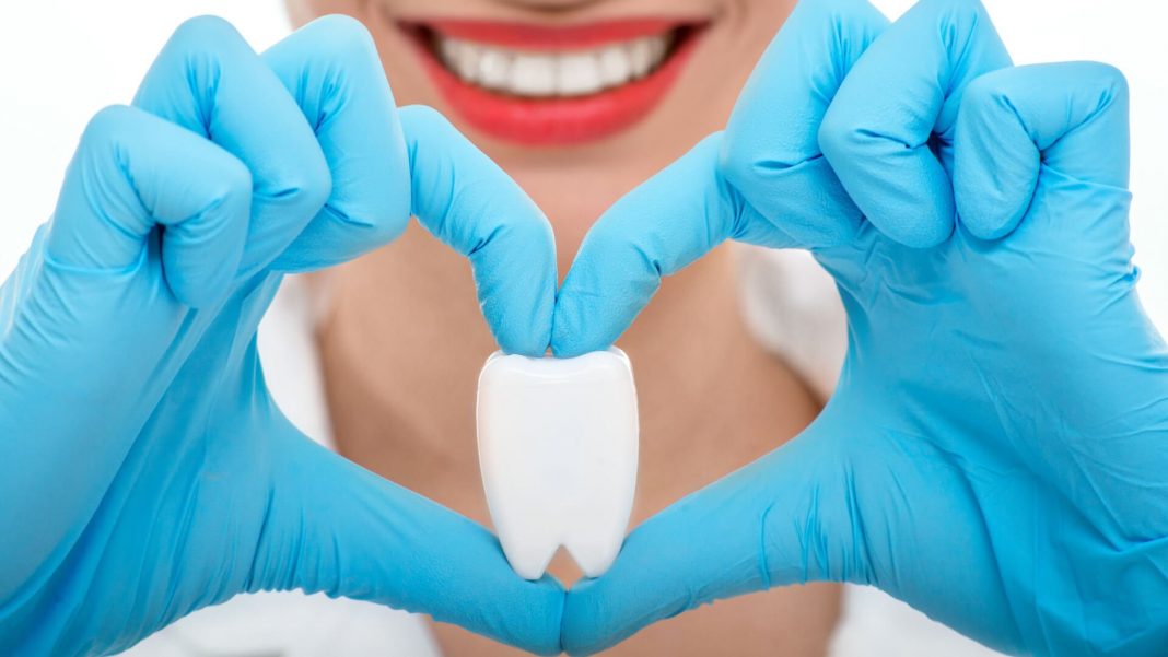 Top-Rated Dentists: How to Choose the Best Dental Care for You and Your Family