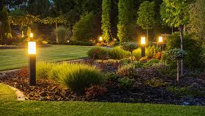 Which Is Better for Your Central Florida Landscape?